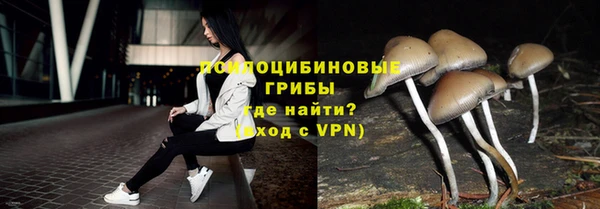 ГАЛЛЮЦИНОГЕННЫЕ ГРИБЫ Верхний Тагил
