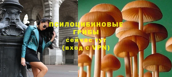 COCAINE Верея